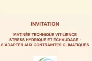 MATINÉE TECHNIQUE VITILIENCE
STRESS HYDRIQUE ET ÉCHAUDAGE : S’ADAPTER AUX CONTRAINTES CLIMATIQUES