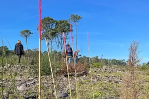 Chantier participatif : Agir pour l’entretien de la forêt du Pignada