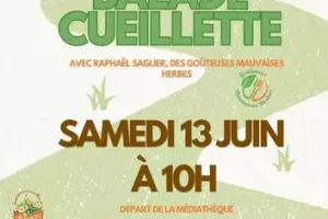 Balade cueillette