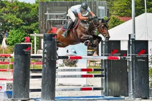 Concours de sauts d'obstacles