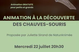 A la découverte des chauves-souris