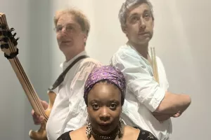 Chère Ijeawele, Manifeste pour une éducation féministe de Chimamanda Ngozi Adichie