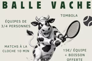 Tournoi balle vache