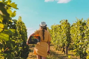 "Les vignerons prennent l'Aire" - Château du Bois Dumas