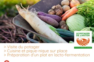 Le potager de Lanton