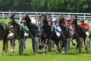 Courses hippiques