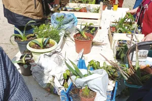 Grainothèque en balade