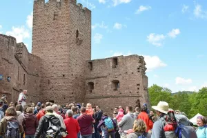 Expériences Mossig & Vignoble : Visite guidée du Château de Wangenbourg