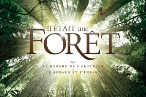 Festival cinéma plein air - Les Nuits étoilées