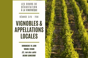 Cours de dégustation : vignobles et appellations locales