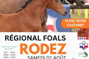 Concours régional Foals