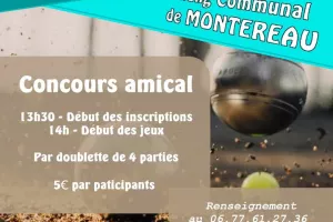 Concours de pétanque en doublette