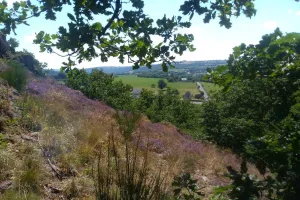 Les lutins des rochers