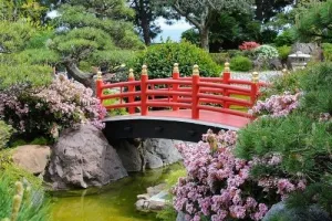 Rendez -vous aux jardins : Les jardins Japonais
