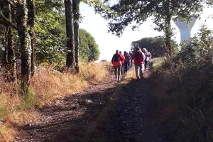 Chemins en Fête - rando pédestre
