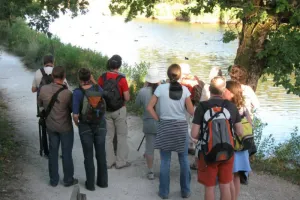 Les visiteurs d'Eté