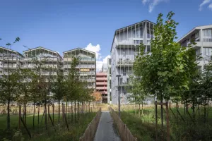 Brazza quartier paysage