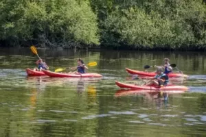 Descentes sur la Vienne en canoë