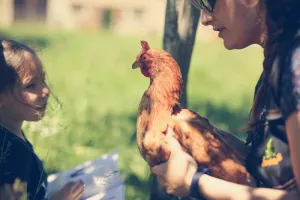 Conte participatif à la ferme de la Hardonnerie
