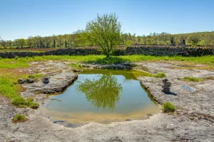 Exposition de peintures :  « Les lacs de Saint Namphaise »