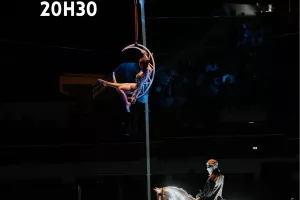 SPECTACLE ÉQUESTRE "L'ÉCHO DE L'HORIZON"