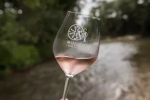 ENTRE VERRES ET VIGNES