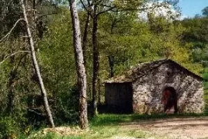 Pèlerinage Saint Ferréol