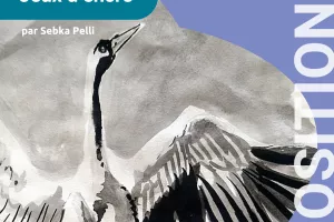 Exposition "Jeux d'encre" par Sebka Pelli