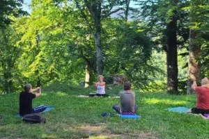 Expériences Mossig & Vignoble : Yoga doux
