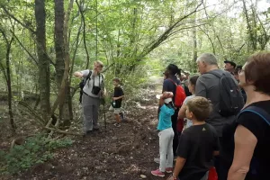 Initiation botanique à la Réserve naturelle nationale de la Forêt d’Erstein
