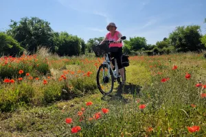 La Vellilocienne - Promenade à vélo