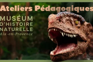 Programme des ateliers pédagogiquesdu Muséum d’Histoire Naturelle d'Aix-en-Provence - été 2026