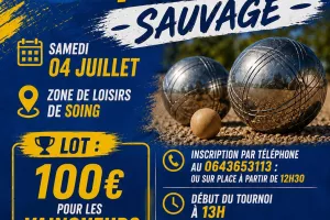 Tournoi de pétanque sauvage