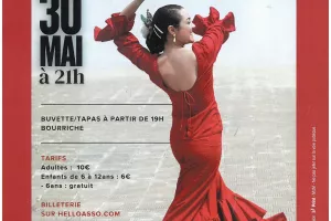 Flamenco - Gala de fin d'année