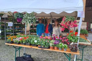 Vide grenier et marché aux fleurs
