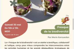 Fresque de la biodiversité