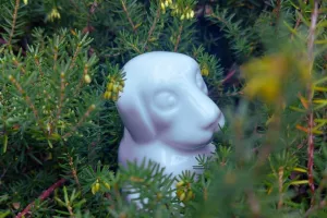 Mes premiers pas au musée - Mon merveilleux jardin de porcelaine