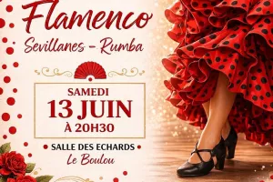 SPECTACLE - FLAMENCO SEVILLANES RUMBA