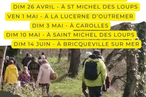 Observation phoques et oiseaux