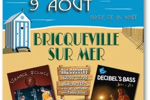Fête de la mer avec bal et feu d'artifice