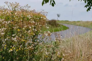 Les Rendez-vous Nature - Merveilles naturelles du marais