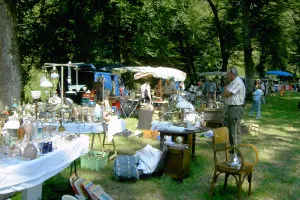 Vide-grenier et marché aux fleurs