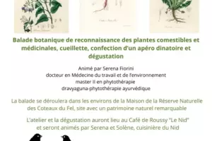 Balade botanique