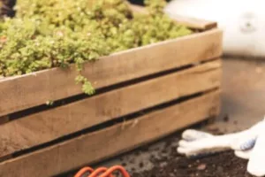 La Maison du jardinier et de la nature se déplace dans votre quartier !