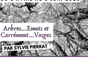 Exposition "Arbres...Emois et carrément Vosges"