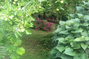 Voyage au cœur de la nature