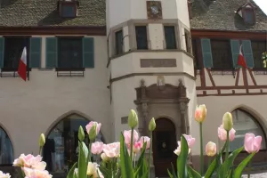 Visite guidée de l'Hôtel de Ville, Laube et Jacquemart - JEP