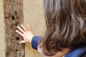 La Ville Haute éveille vos sens... - Visite Guidée, sensorielle