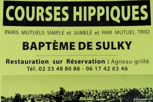 Courses hippiques