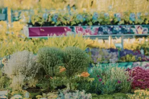 Fête des jardins et de la biodiversité